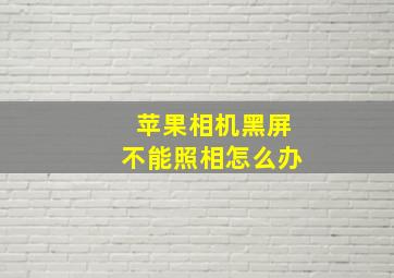 苹果相机黑屏不能照相怎么办