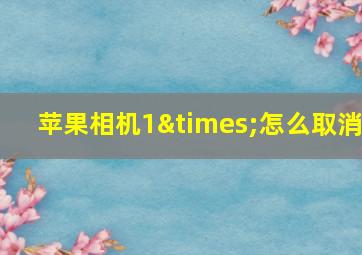 苹果相机1×怎么取消