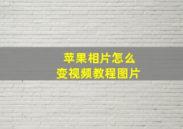 苹果相片怎么变视频教程图片