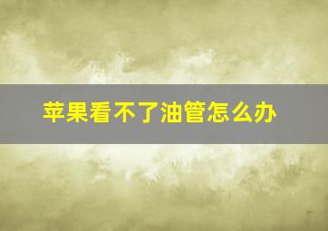 苹果看不了油管怎么办