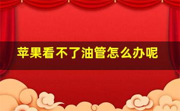 苹果看不了油管怎么办呢