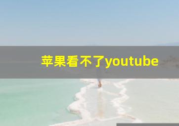 苹果看不了youtube