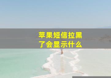 苹果短信拉黑了会显示什么