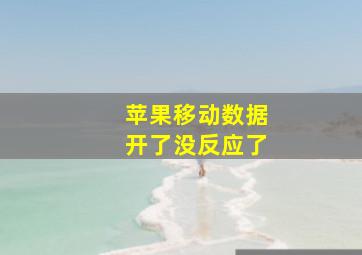 苹果移动数据开了没反应了