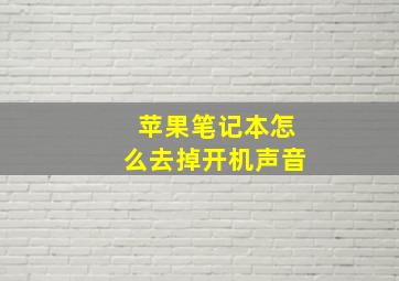 苹果笔记本怎么去掉开机声音