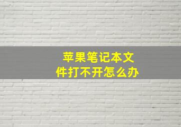 苹果笔记本文件打不开怎么办