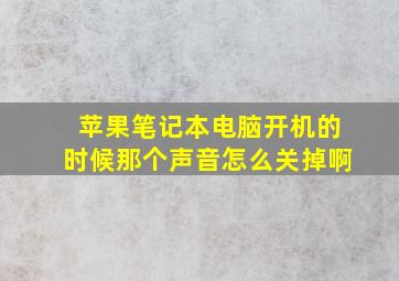 苹果笔记本电脑开机的时候那个声音怎么关掉啊