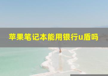 苹果笔记本能用银行u盾吗