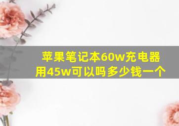 苹果笔记本60w充电器用45w可以吗多少钱一个