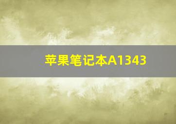 苹果笔记本A1343