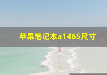 苹果笔记本a1465尺寸