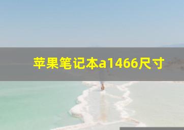 苹果笔记本a1466尺寸