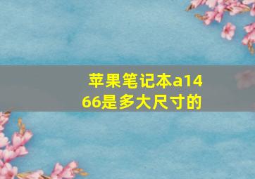 苹果笔记本a1466是多大尺寸的