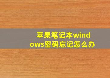 苹果笔记本windows密码忘记怎么办