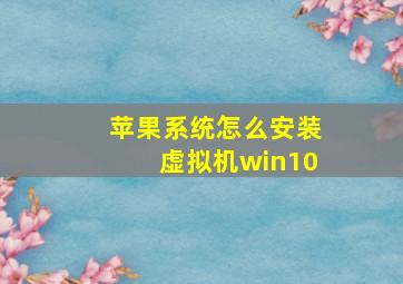 苹果系统怎么安装虚拟机win10