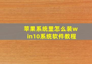 苹果系统里怎么装win10系统软件教程