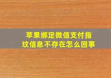 苹果绑定微信支付指纹信息不存在怎么回事