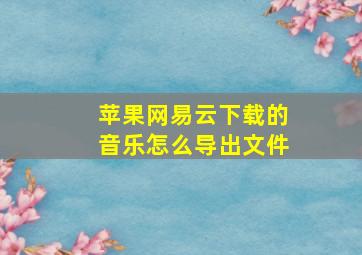 苹果网易云下载的音乐怎么导出文件