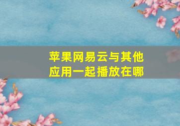 苹果网易云与其他应用一起播放在哪