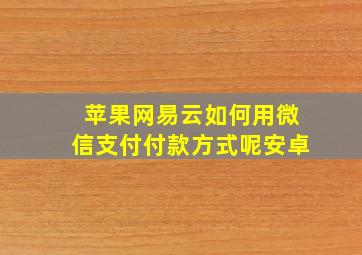 苹果网易云如何用微信支付付款方式呢安卓