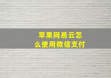 苹果网易云怎么使用微信支付