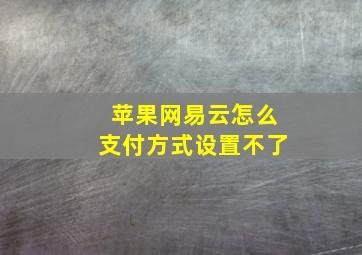 苹果网易云怎么支付方式设置不了