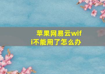 苹果网易云wifi不能用了怎么办