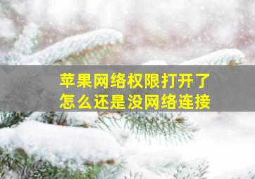 苹果网络权限打开了怎么还是没网络连接