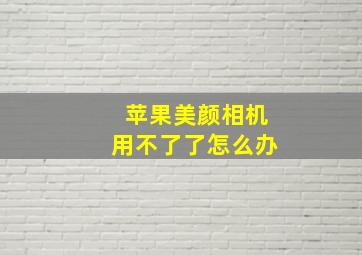 苹果美颜相机用不了了怎么办