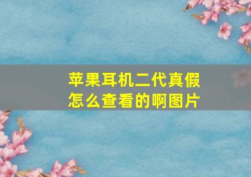 苹果耳机二代真假怎么查看的啊图片