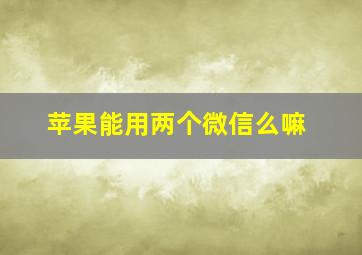 苹果能用两个微信么嘛