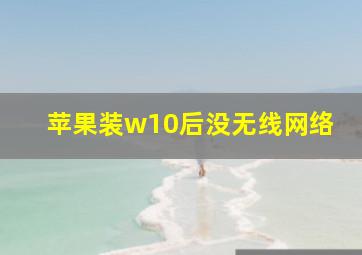 苹果装w10后没无线网络