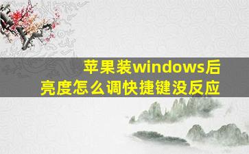 苹果装windows后亮度怎么调快捷键没反应