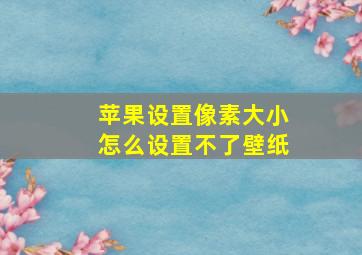 苹果设置像素大小怎么设置不了壁纸