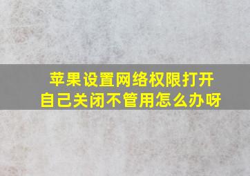 苹果设置网络权限打开自己关闭不管用怎么办呀