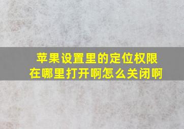 苹果设置里的定位权限在哪里打开啊怎么关闭啊