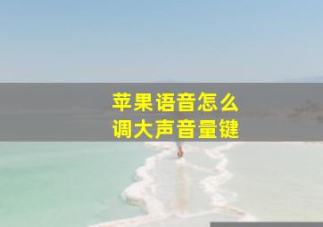 苹果语音怎么调大声音量键