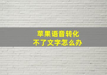 苹果语音转化不了文字怎么办