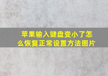 苹果输入键盘变小了怎么恢复正常设置方法图片