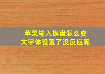 苹果输入键盘怎么变大字体设置了没反应呢