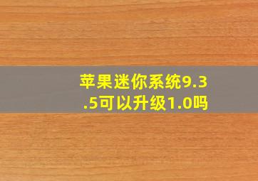 苹果迷你系统9.3.5可以升级1.0吗