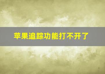 苹果追踪功能打不开了