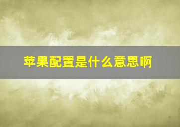 苹果配置是什么意思啊