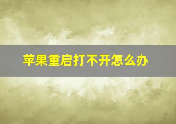 苹果重启打不开怎么办