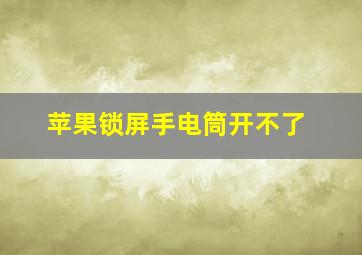 苹果锁屏手电筒开不了