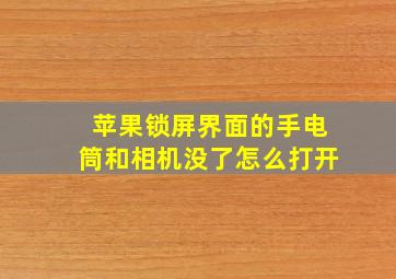 苹果锁屏界面的手电筒和相机没了怎么打开