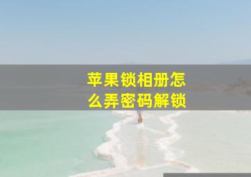 苹果锁相册怎么弄密码解锁