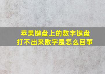 苹果键盘上的数字键盘打不出来数字是怎么回事