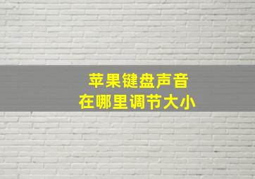 苹果键盘声音在哪里调节大小