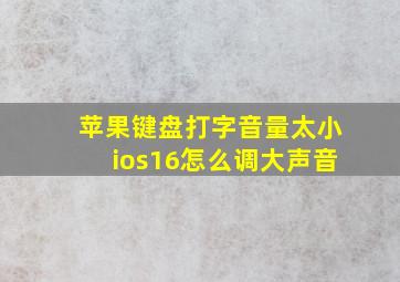 苹果键盘打字音量太小ios16怎么调大声音